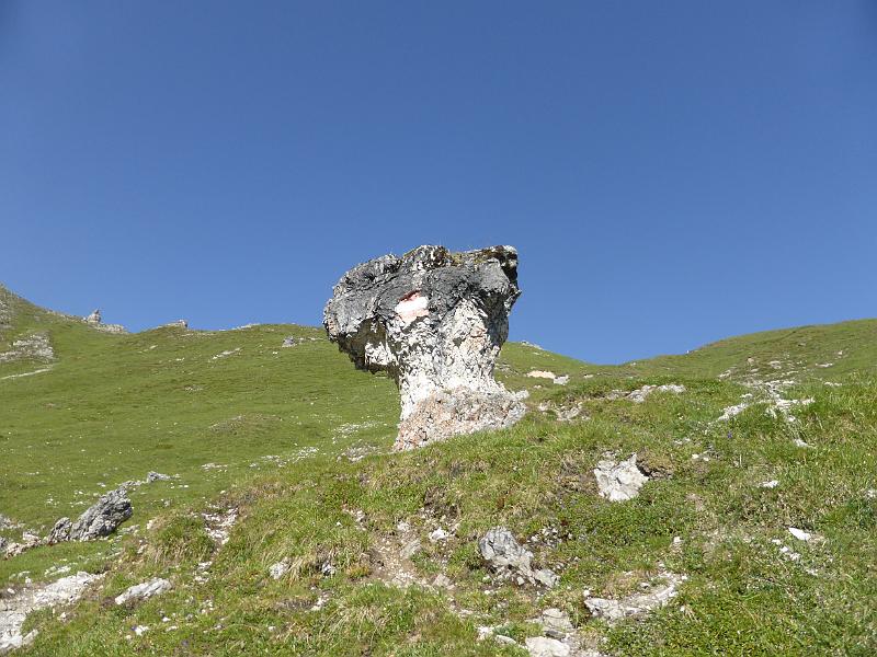 P1000580.JPG