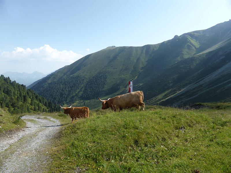 P1000630.JPG