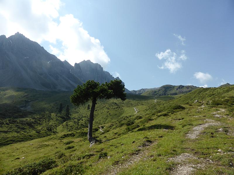 P1000634.JPG