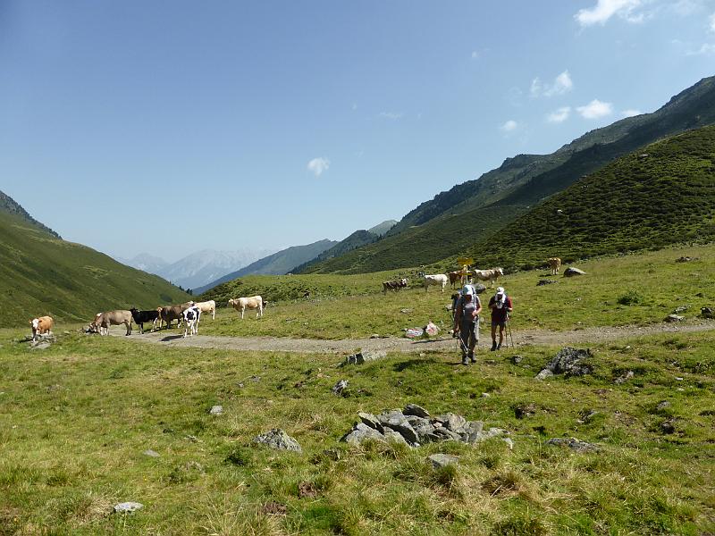 P1000639.JPG