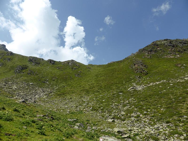 P1000642.JPG