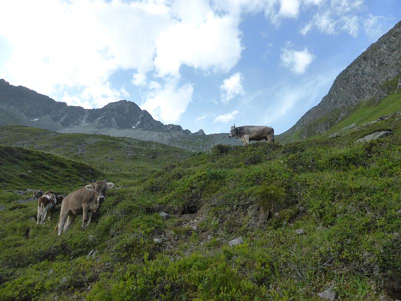 P1000725.JPG