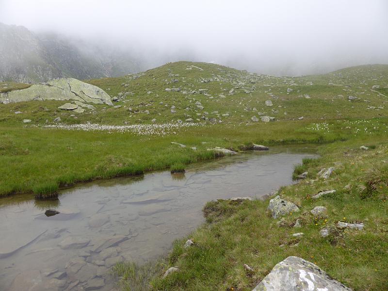 P1000810.JPG
