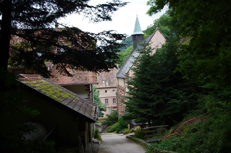 IMGP6905.JPG