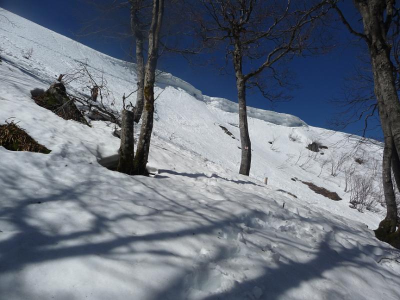 P1120306.JPG