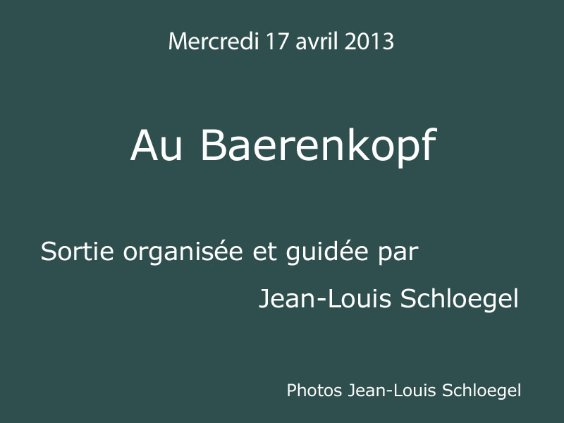 DSCF9521.JPG