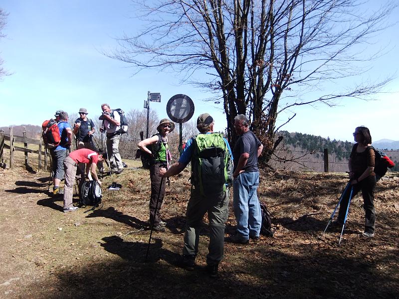 DSCF9527.JPG
