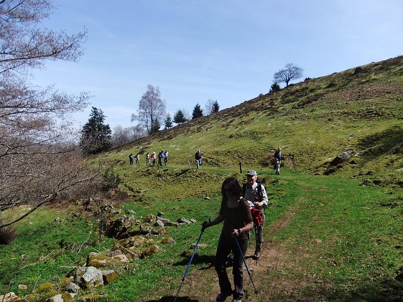 DSCF9538.JPG
