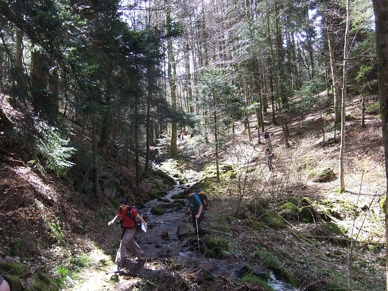 DSCF9541.JPG