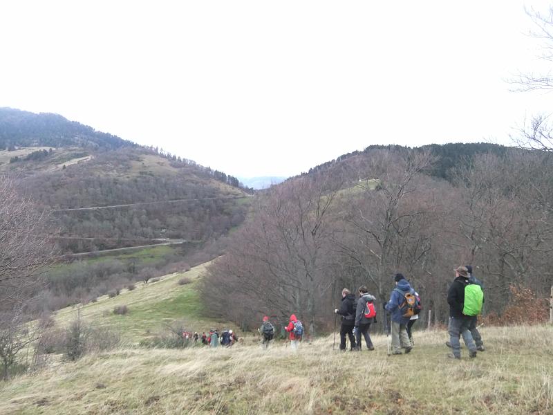 DSCF8654.JPG