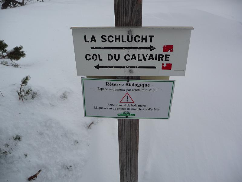 P1110898.JPG