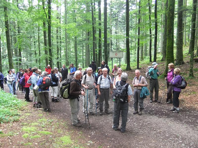 DSCF0339.JPG