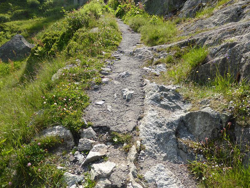 P1000356.JPG