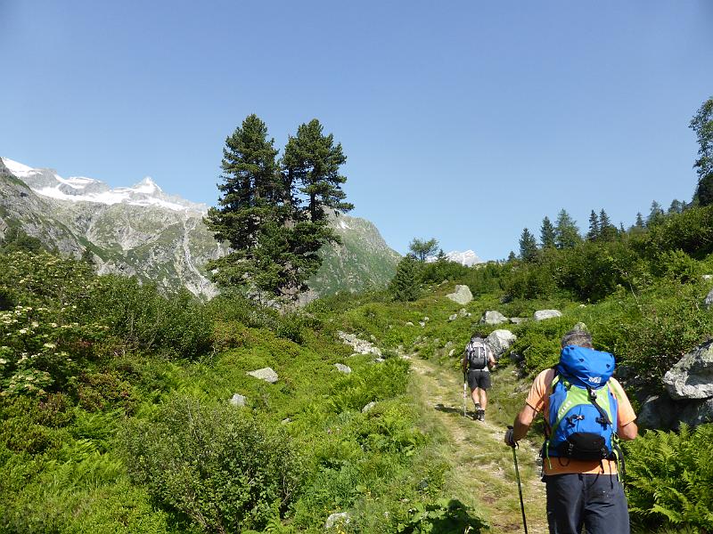 P1000438.JPG