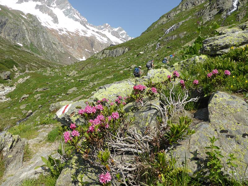 P1000445.JPG