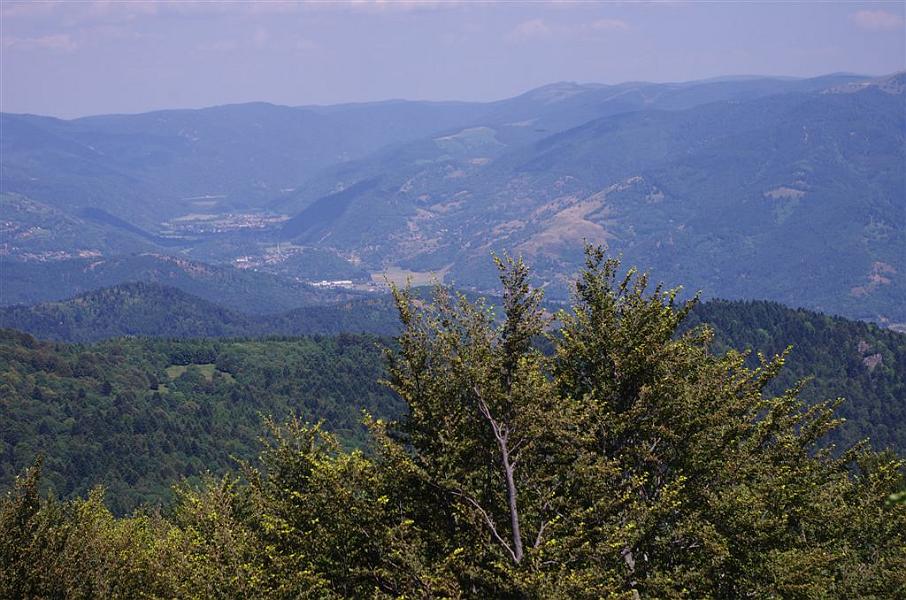 IMGP6345.JPG