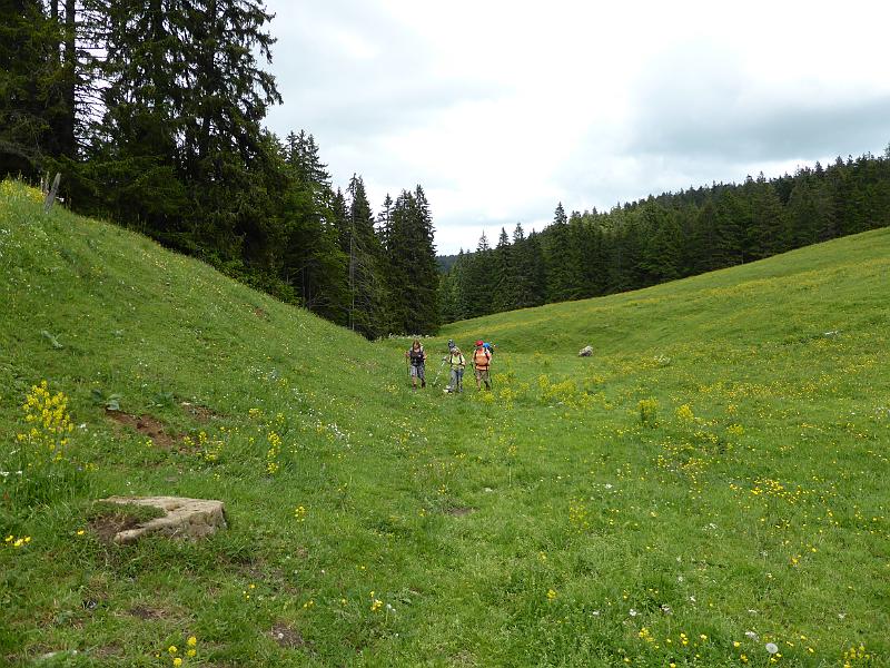 P1000167.JPG