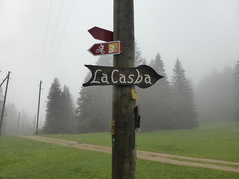 P1000223.JPG