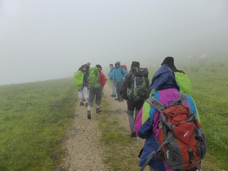 P1000226.JPG