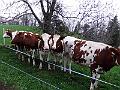 mai_02_091
