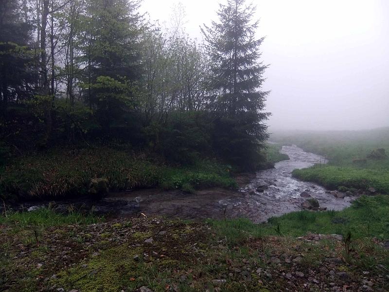 DSCF9914.jpg