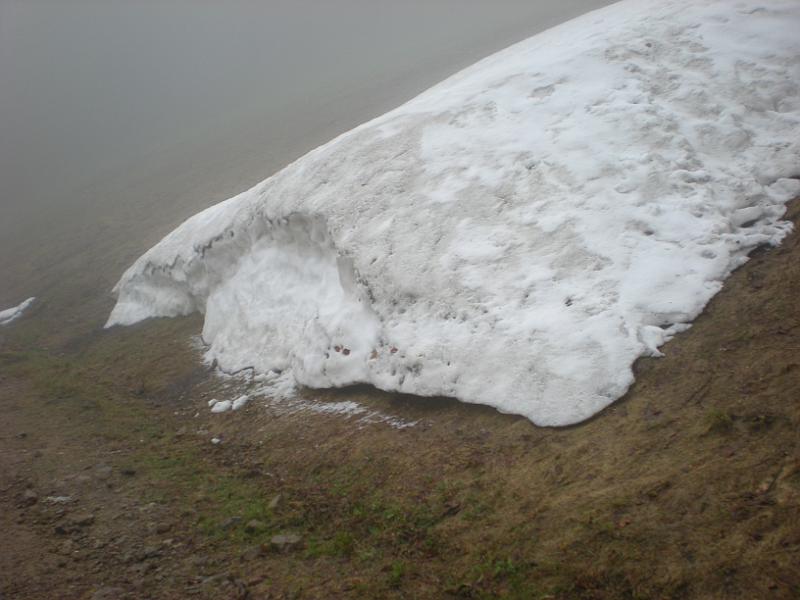 DSCF9917a.JPG
