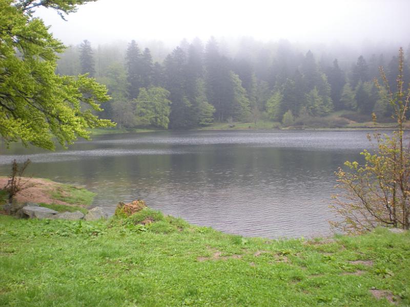 DSCF9917c.JPG