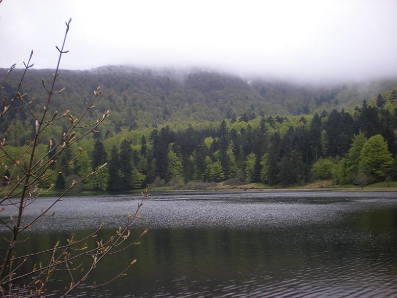 DSCF9925a.JPG