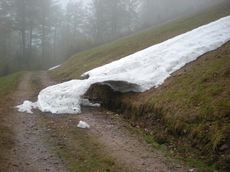 DSCF9928.JPG