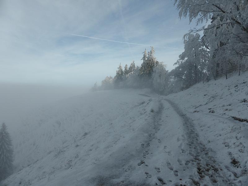 P1010934.JPG