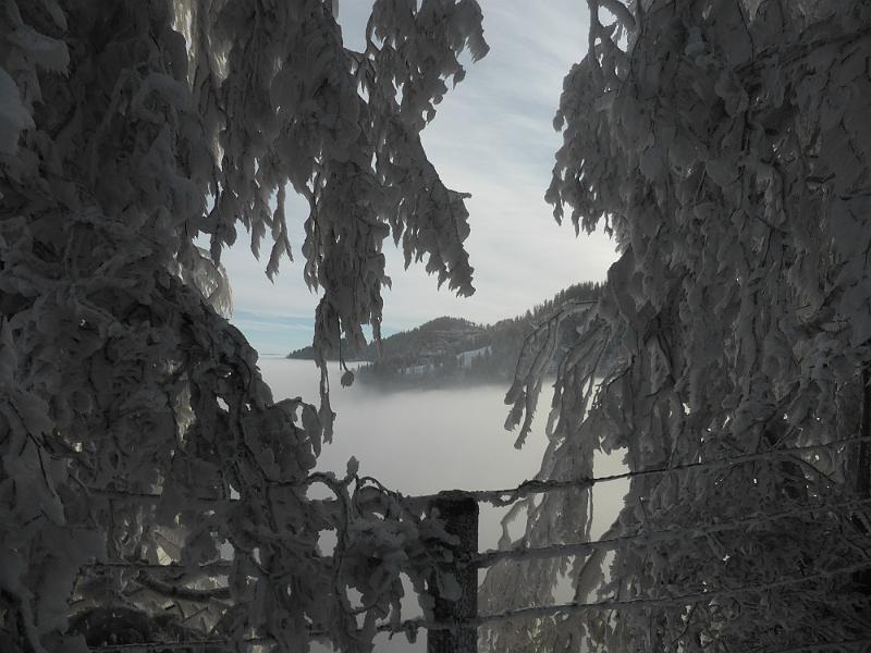 P1010937.JPG