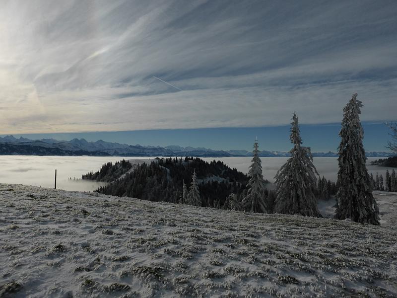 P1010944.JPG