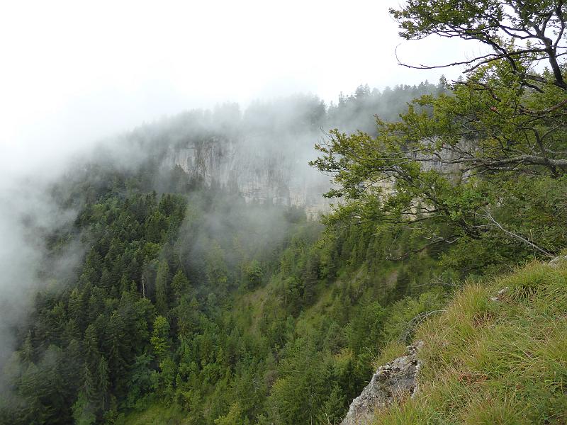 P1010456.JPG