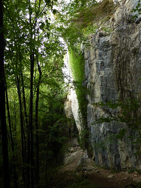 P1010460.JPG