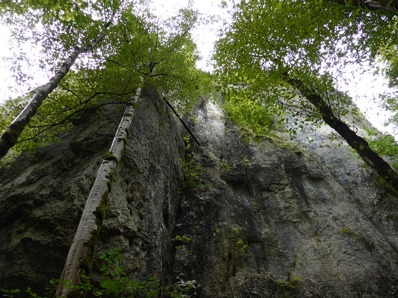 P1010476.JPG