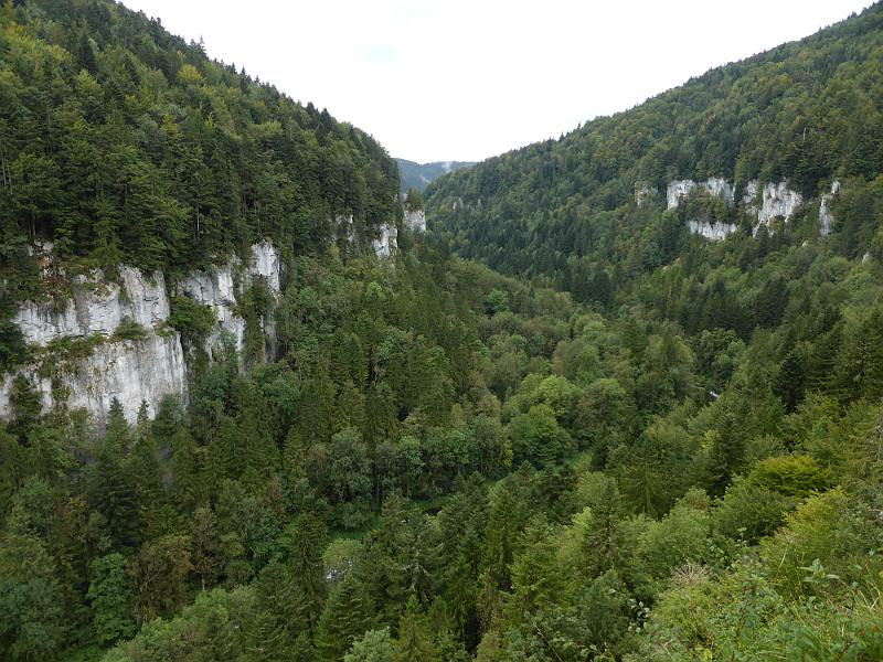P1010492.JPG