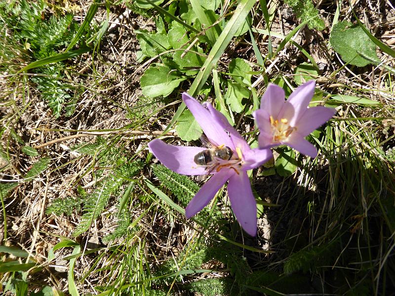 P1010569.JPG