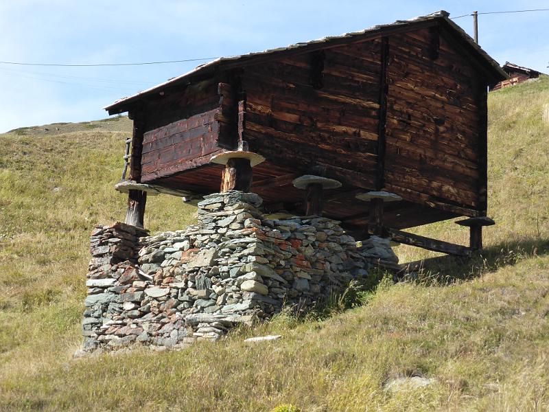 P1010583.JPG