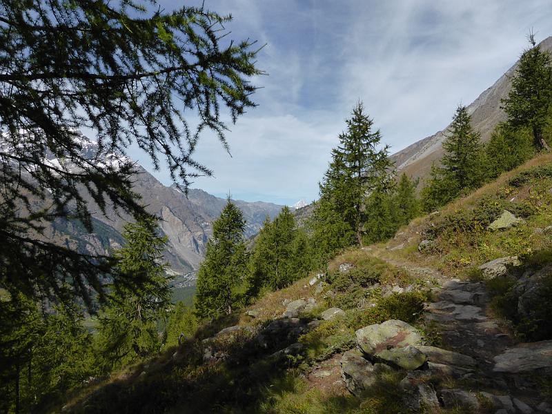 P1010654.JPG