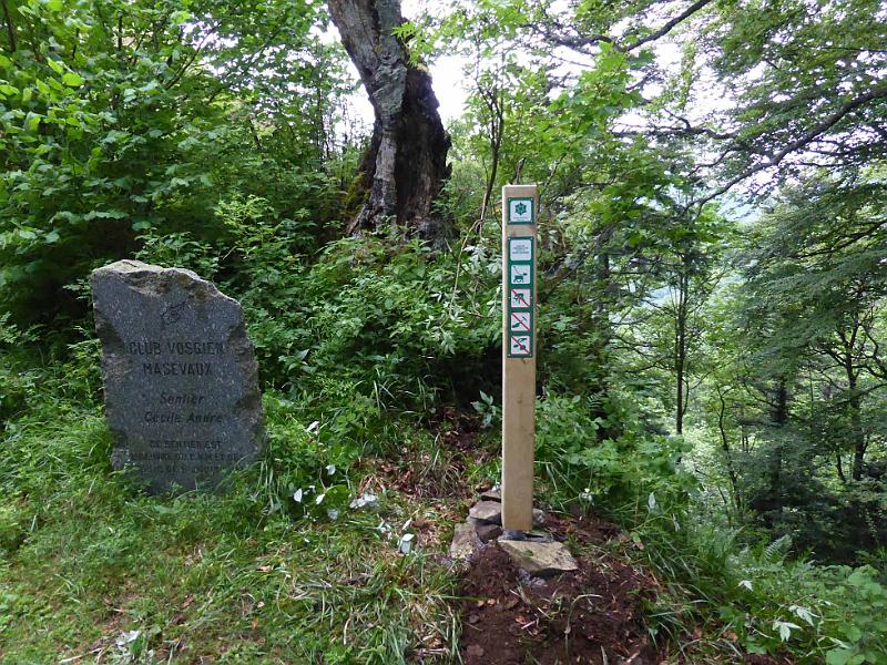 0001.jpg - Poteaux aux limites de la Réserve Naturelle Régionale de la Forêt des Volcans