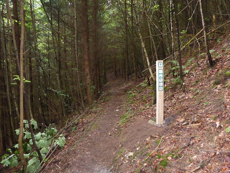 0005.jpg