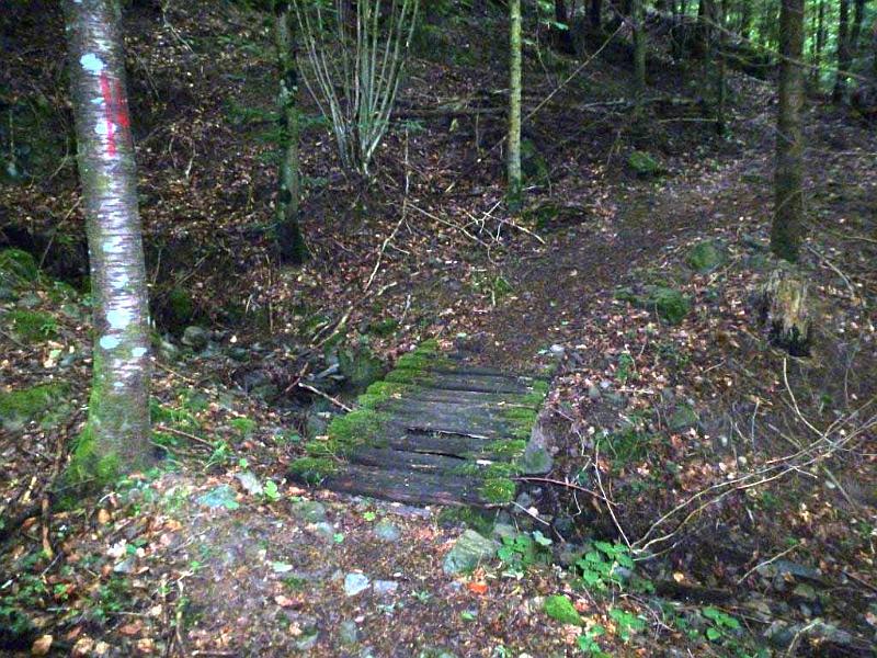 0009.jpg - Passerelle sur le sentier entre Houppach et le Col du Schirm