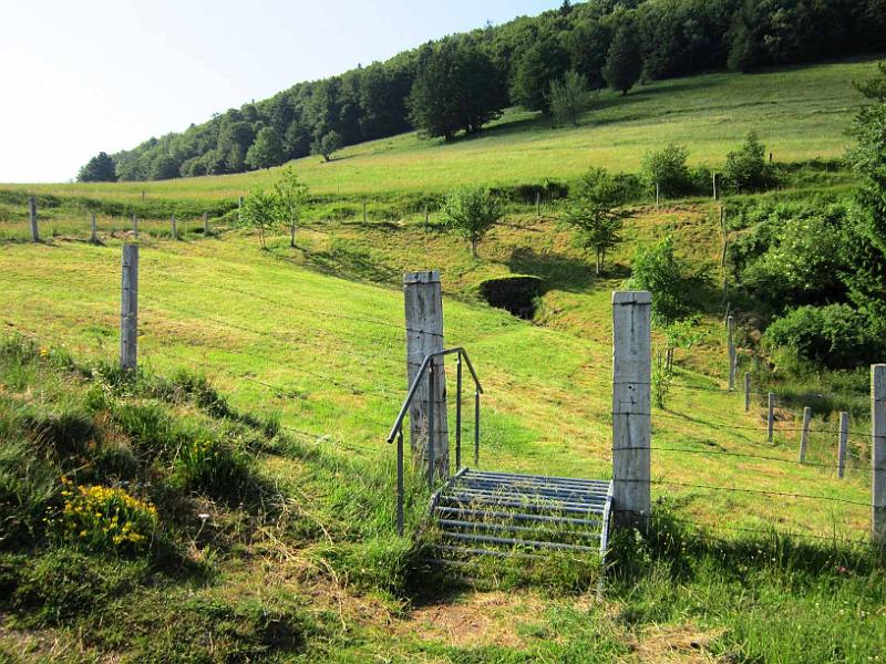 0020.jpg - Fauchage de la Source de la Doller