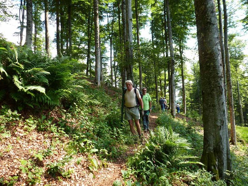 0023.jpg - Passerelle sur le sentier (croix rouge) au départ du Wissgrut