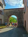 Rando CV 06-08-2026 (1)